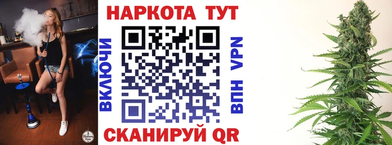 Виды наркотиков купить Зверево Alpha-PVP  Конопля  Cocaine  Меф  Псилоцибиновые грибы  Гашиш 