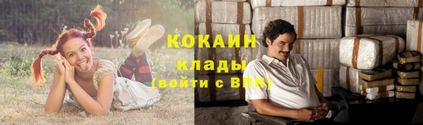 метадон Гусь-Хрустальный