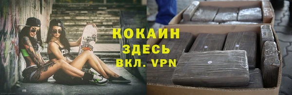 спайс Гусев