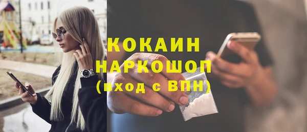 спайс Гусев