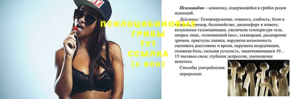 метадон Гусь-Хрустальный