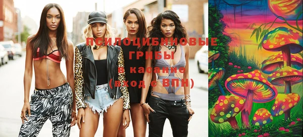 метадон Гусь-Хрустальный