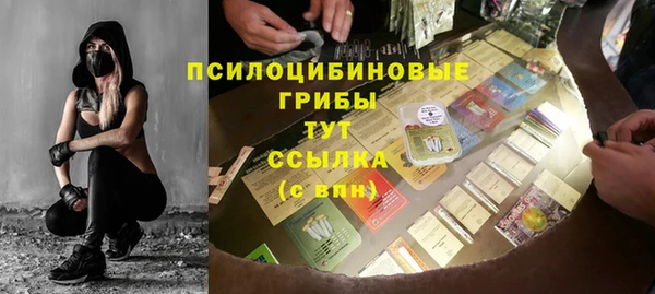 метадон Гусь-Хрустальный