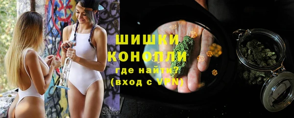 метадон Гусь-Хрустальный