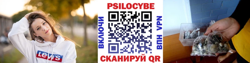 Псилоцибиновые грибы Cubensis  как найти закладки  Зверево 